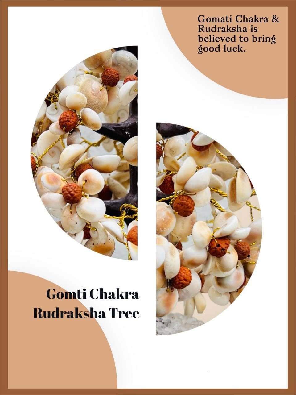 White Crystal Gomti Chakra with Rudraksha Tree for Good Luck, Positive Energy (Large Size - 300 Beads) - Image 4